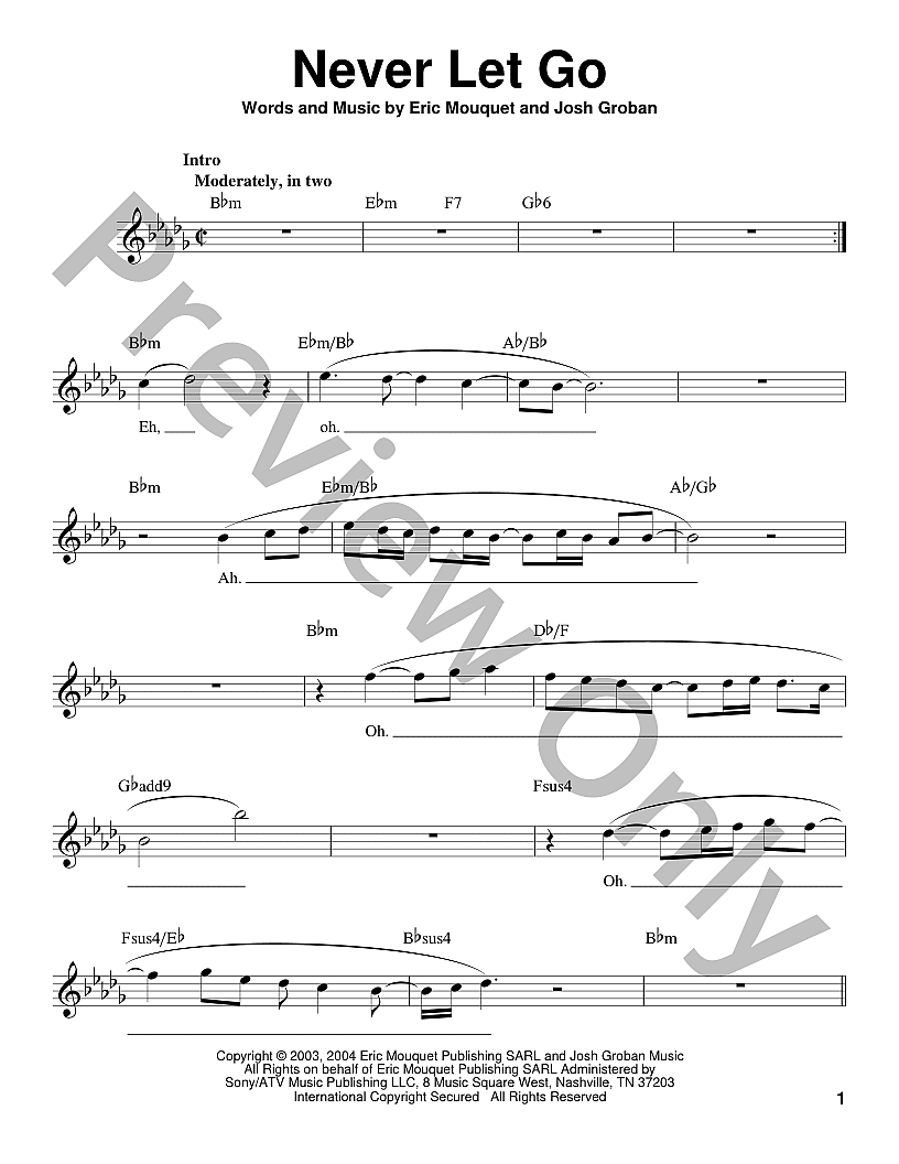 Never Let Go P/V/G Sheet Music | J.W. Pepper