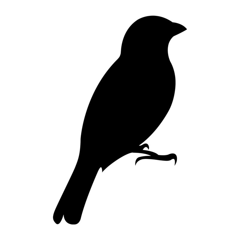 Composer's avatar